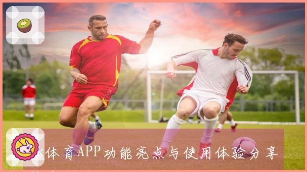 mk体育APP功能亮点与使用体验分享指南