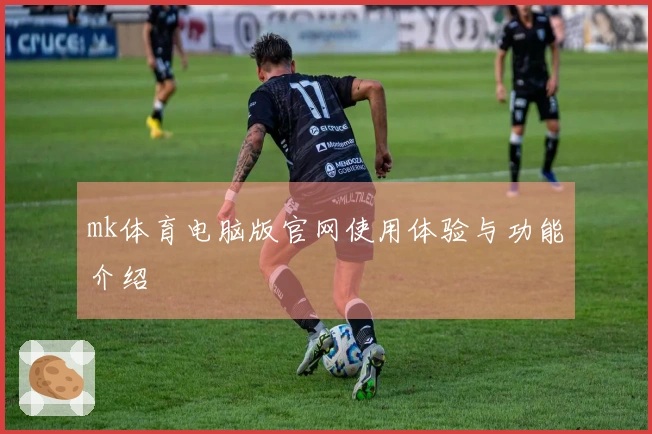 mk体育电脑版官网使用体验与功能介绍